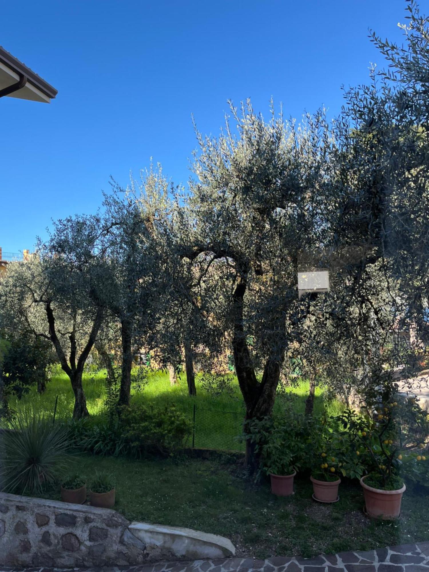 Ferienwohnung Casa Noario Malcesine Exterior foto