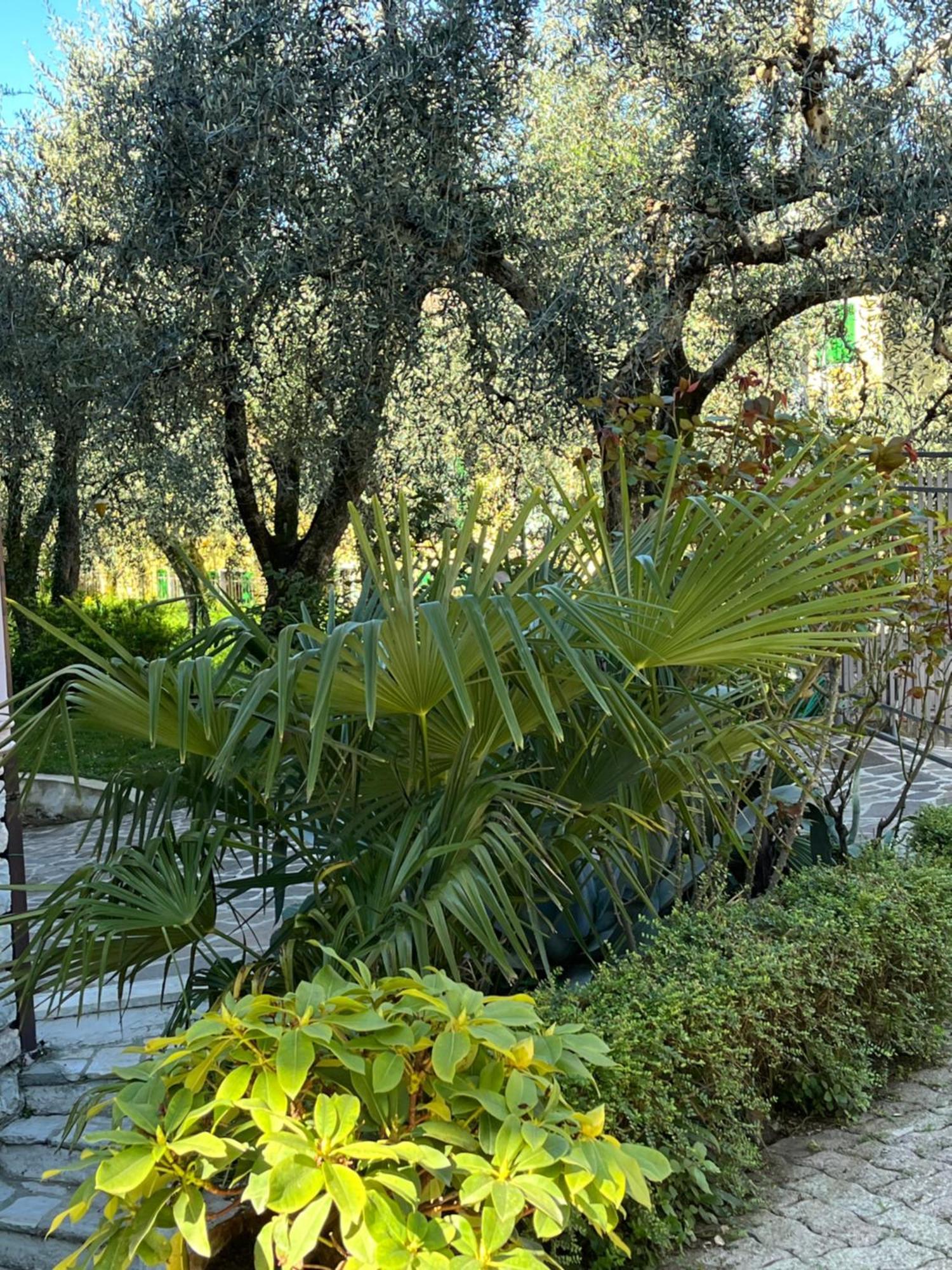 Ferienwohnung Casa Noario Malcesine Exterior foto